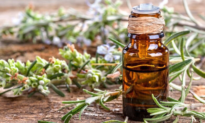 Rosemary water/oil for hair growth - Curl Spa